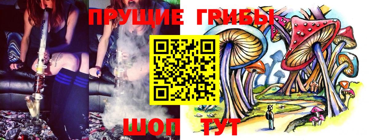 Карпинск  Псилоцибиновые грибы Psilocybe  Вход с VPN 