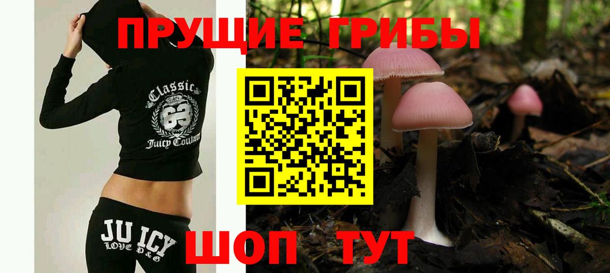 Псилоцибиновые грибы GOLDEN TEACHER Карпинск